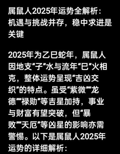 鼠明年运势如何_属鼠人2025年财运事业感情全解析