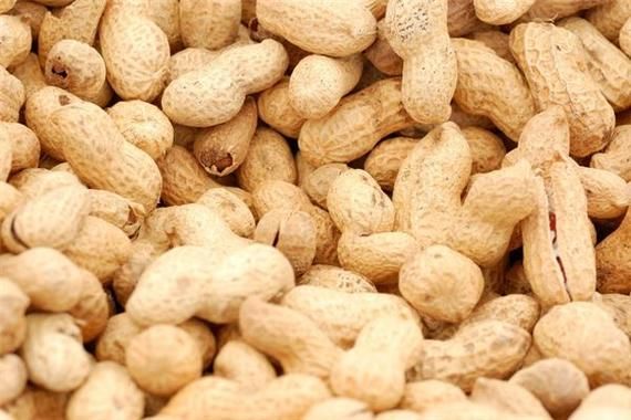 梦到吃花生米是什么意思_梦见吃花生米周公解梦