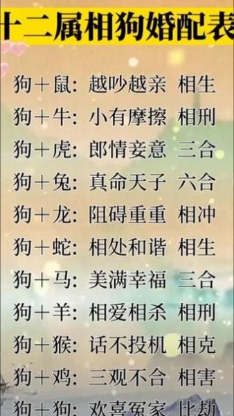 男属猴女属狗婚配好吗_如何化解相冲