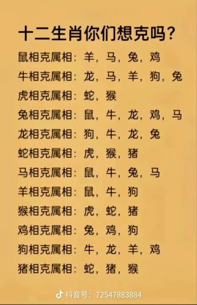 生肖蛇最佳婚配属相_属蛇和什么生肖最合