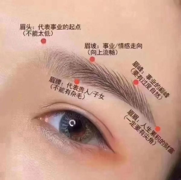 眉型财运_如何通过眉毛看财富运势