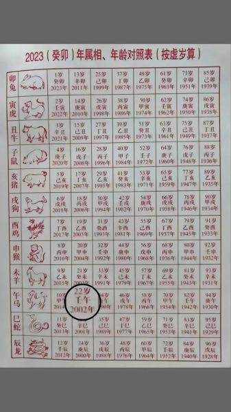 02年属什么生肖_02年出生今年多大