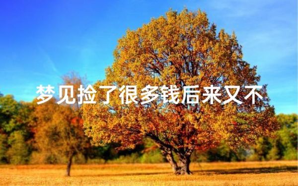 梦见捡钱是什么意思_梦到捡钱好不好