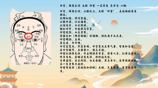 面相财运图怎么看_面相财运图准吗