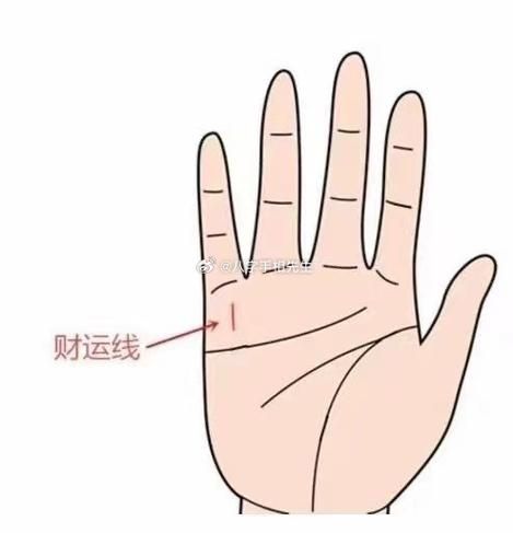 财运线上有竖线_代表什么