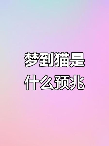 梦到许多猫_周公解梦