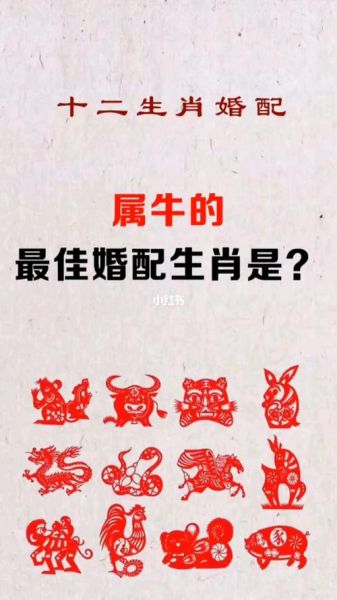 男牛和什么属相最配_男牛婚配禁忌
