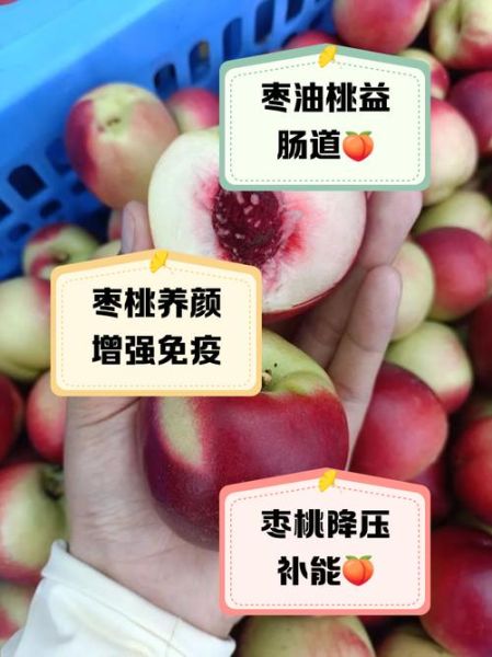 梦到枣和桃是什么意思_梦到枣和桃预示什么