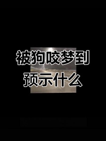 梦见狗咬流血财运_狗咬出血预示什么