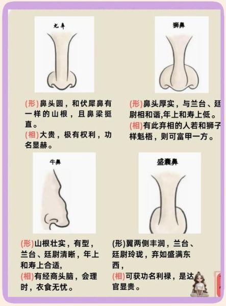 鼻子如何看财运_鼻子财运图解