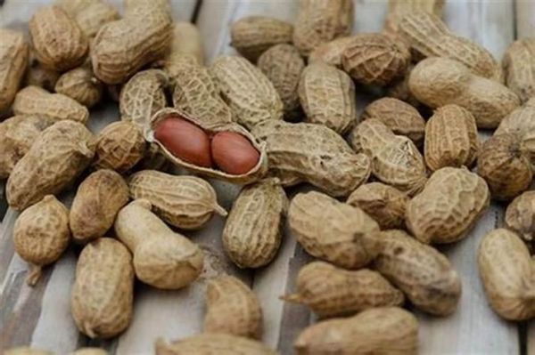 梦到花生米是什么意思_梦见花生米周公解梦