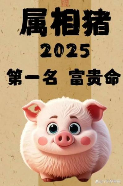 男生属猪财运好吗_属猪男一生财富运势如何