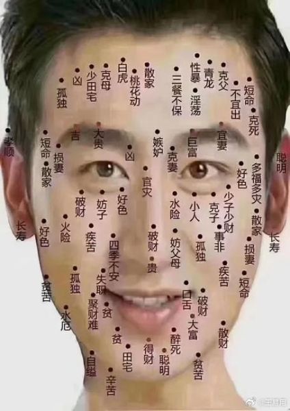 脸上哪个部位代表财运_面相财运怎么看