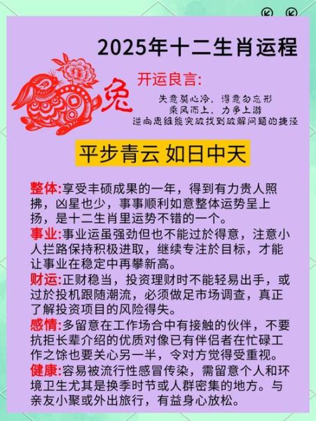 男属兔人今日运势查询_今日财运如何