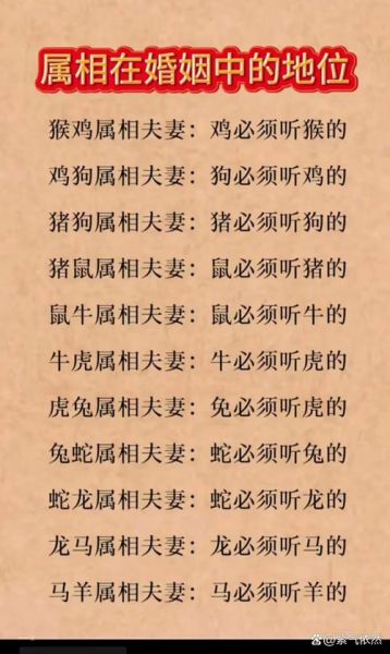 猴与猪属相合不合_猴猪配对婚姻好吗