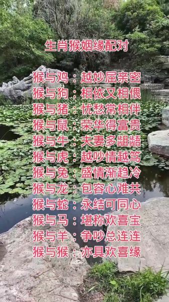 马和猴子属相合不合_马猴配对能长久吗