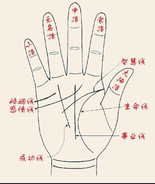 财运线上面分叉是什么意思_财运线分叉代表什么