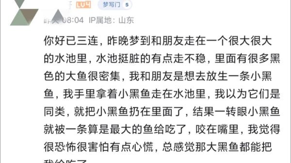 梦到鱼死了是什么意思_梦见鱼死了预示什么