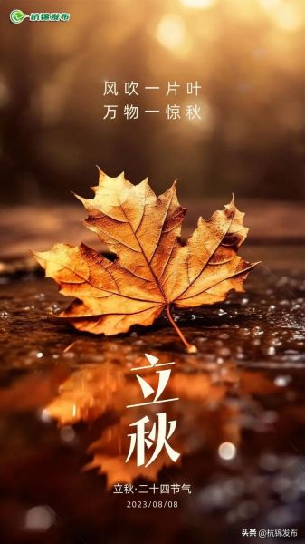立秋后运势如何_立秋后运势会变好吗