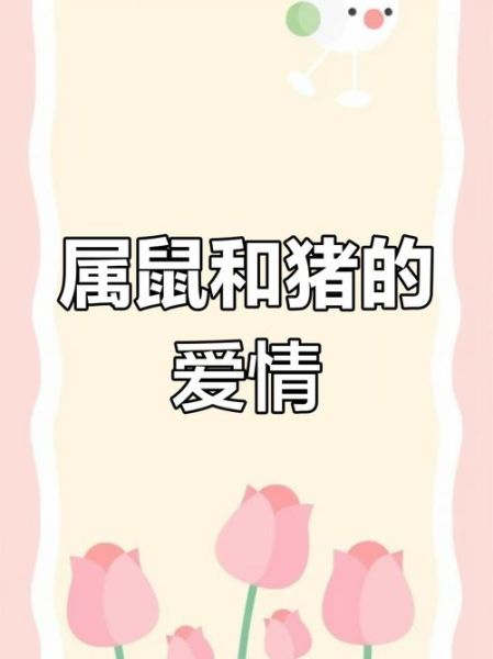 属鼠和属猪的婚姻合不合_属鼠和属猪财运如何