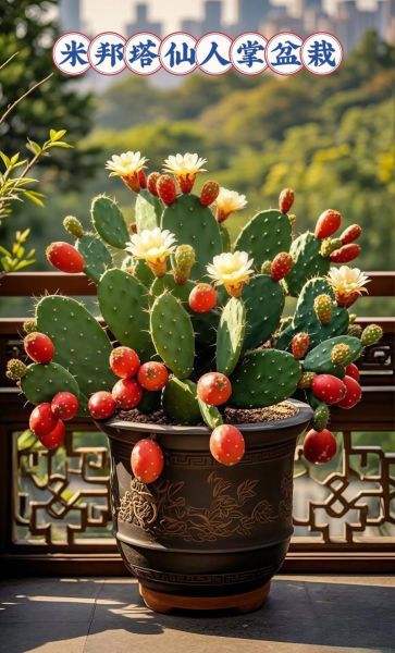 孕妇梦到绿色盆栽是什么意思_孕妇梦见绿植预示什么