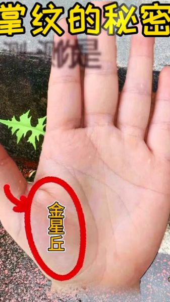 脚拇指看财运_脚拇指形状与财富关系