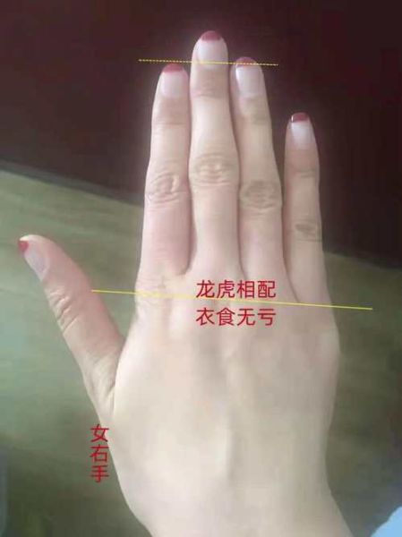 属相婚配可信吗_手相能看婚姻吗