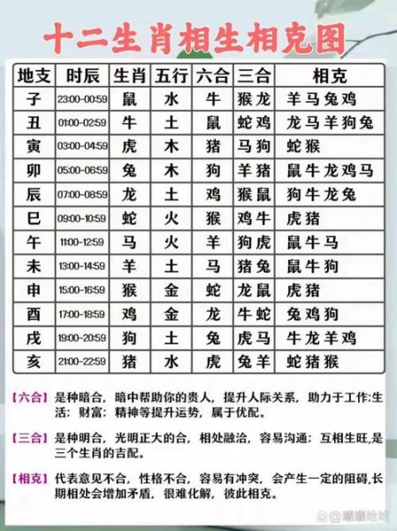 属龙和什么属相相克_属龙人克哪些生肖