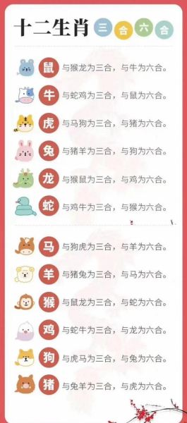 兔狗夫妻财运如何_兔狗夫妻如何招财