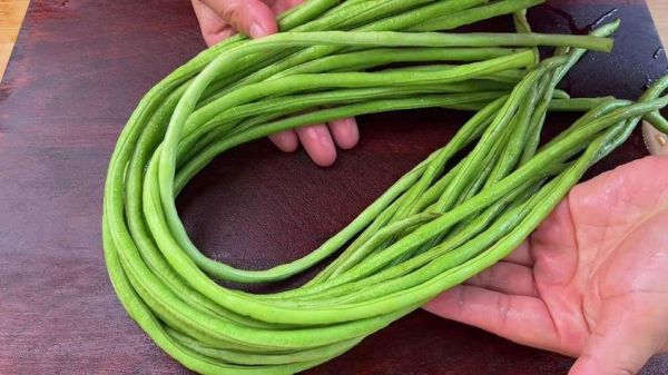 梦到摘豇豆是什么意思_梦到摘豇豆预示什么