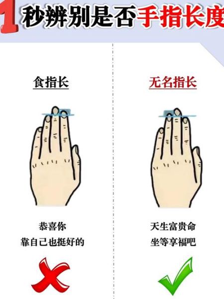 手指长短看财运_手指长短与财富关系准吗