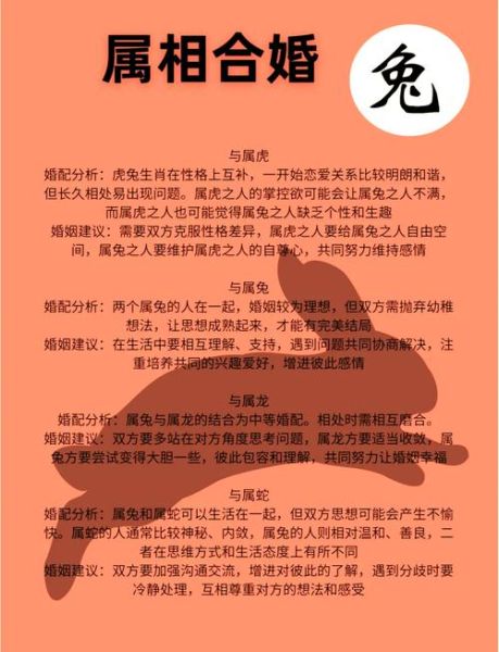 属兔的和什么属相合作最旺_属兔合作禁忌有哪些