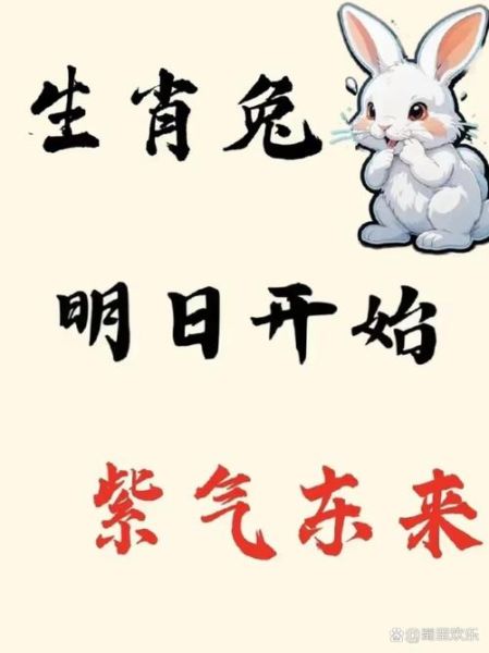 兔冲什么属相_兔冲属相怎么化解