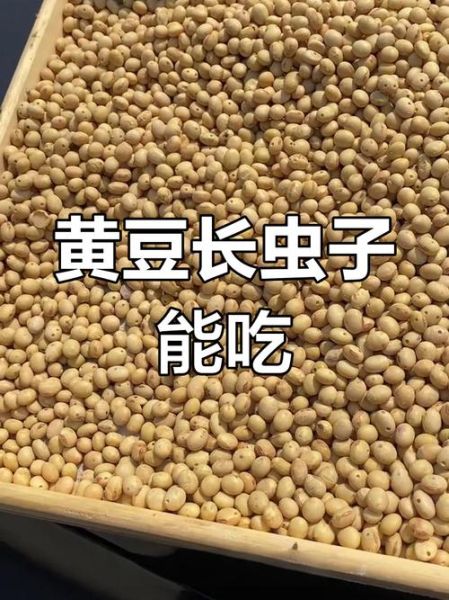 梦到晒黄豆是什么意思_梦见晒黄豆预示什么