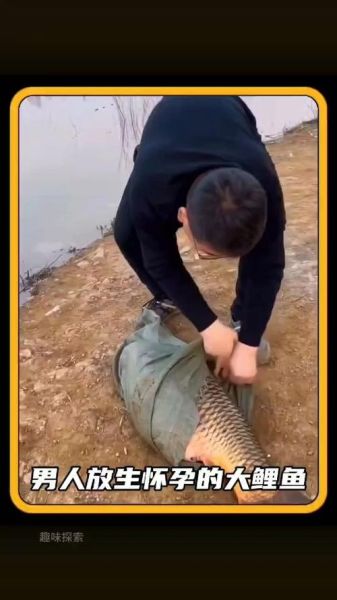 怀孕梦到大鱼是什么意思_胎梦大鱼预示生男生女