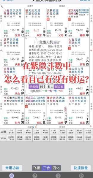 紫微怎么看财运_紫微斗数看财运准吗