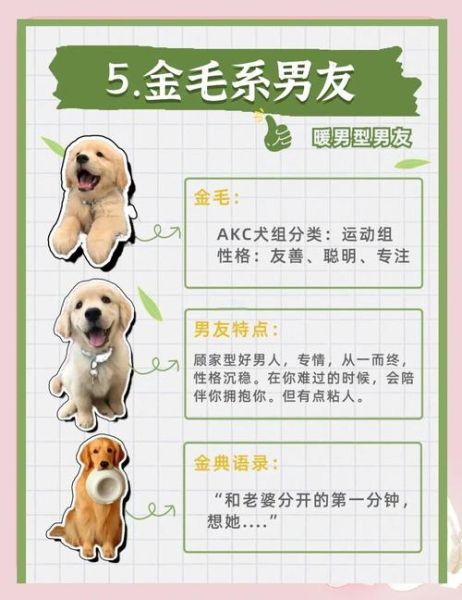 属狗女友性格特点_如何相处更甜蜜