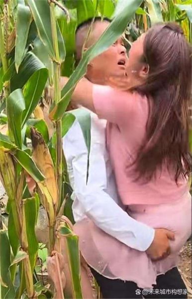 孕妇梦到玉米地是什么意思_孕妇梦见玉米地生男生女