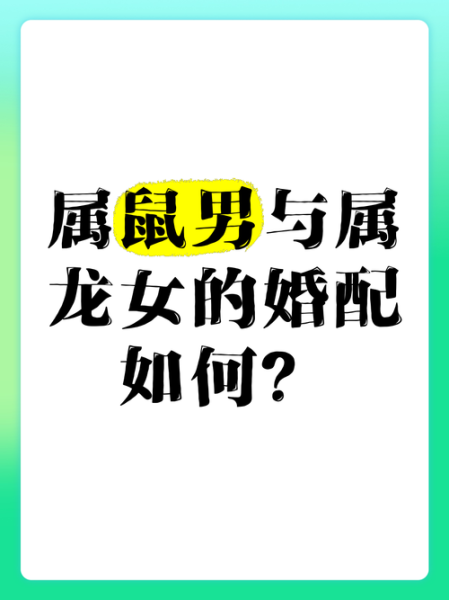 属龙和属鼠的合不合_龙鼠配对婚姻如何