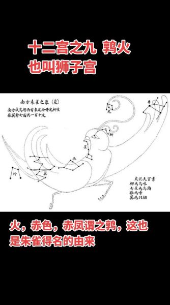 鹑火财运是什么意思_如何提升鹑火财运