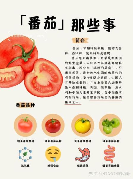 梦到买西红柿是什么意思_西红柿梦境解析