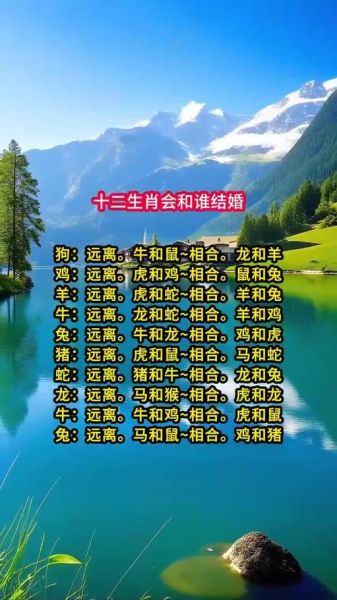 婚姻属相测试准吗_属相不合能结婚吗