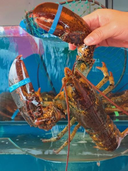 梦见吃海鲜_有什么预兆