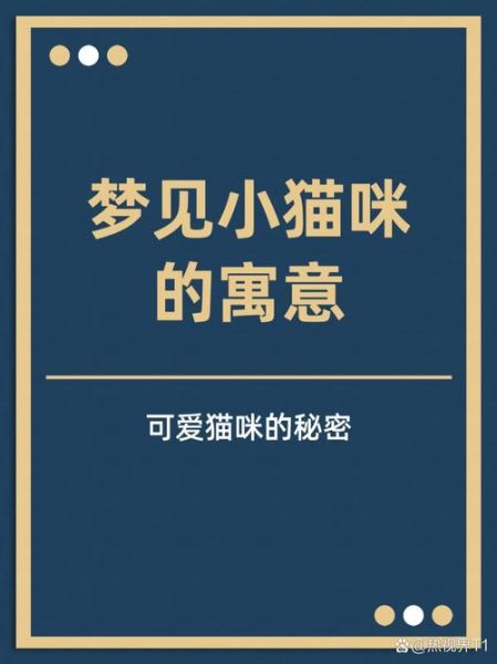 梦到解梦猫是什么意思_解梦猫预示什么