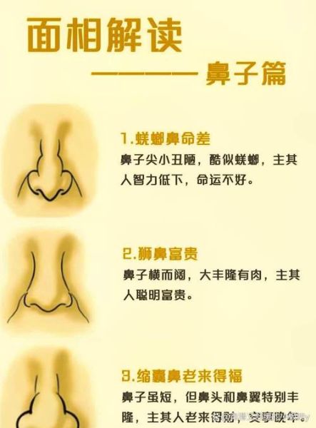 鼻子平的人财运如何_鼻子平的人怎么提升财运