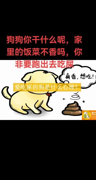 梦到吃狗屎是什么意思_如何化解