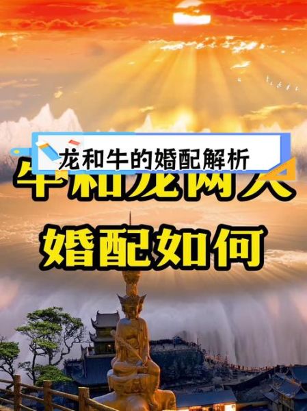 牛和龙属相婚配好吗_牛龙婚姻能长久吗