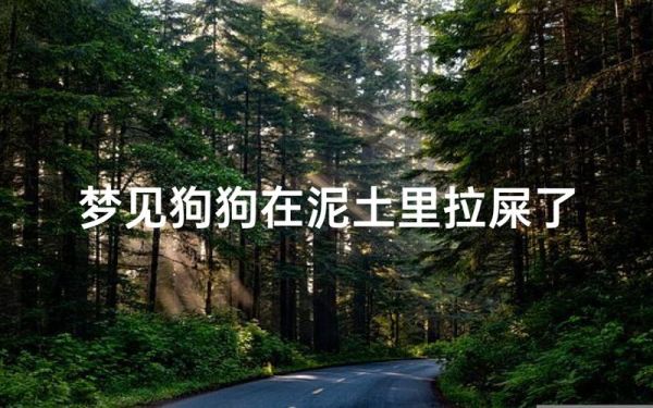 梦到狗大便是什么意思_如何化解梦境焦虑