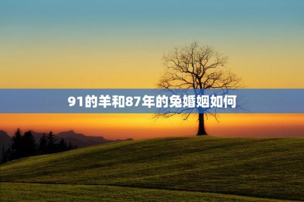 男兔女羊属相配对好吗_婚姻能长久吗