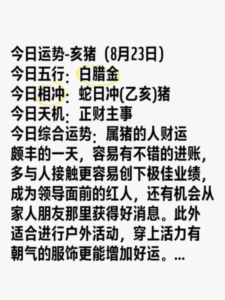 2016属猪每月运势详解_属猪人2016年运势如何